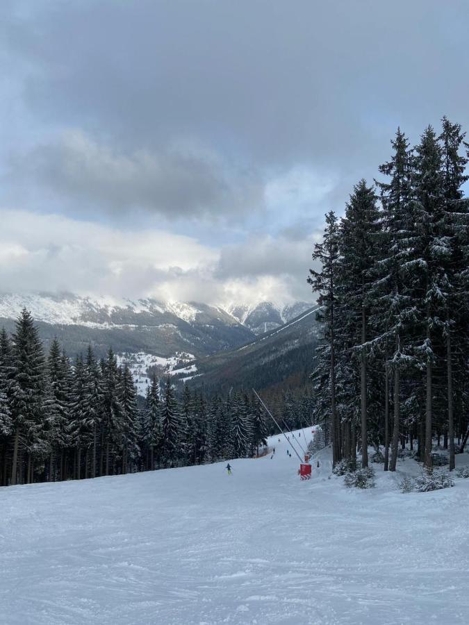 Vila 66 - Čistá v Krkonoších Černý Dŭl Exterior foto