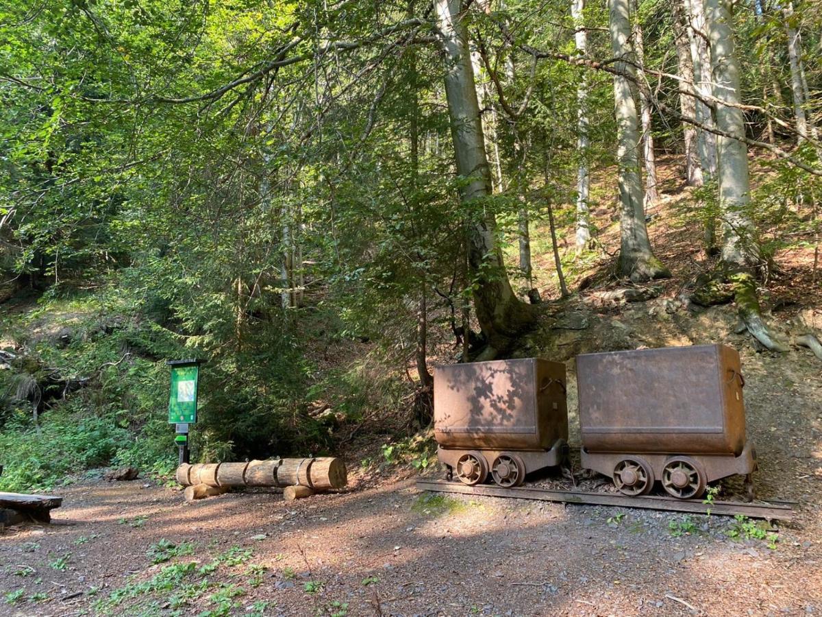 Vila 66 - Čistá v Krkonoších Černý Dŭl Exterior foto