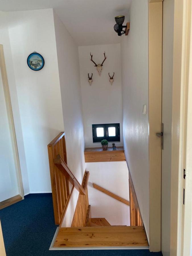 Vila 66 - Čistá v Krkonoších Černý Dŭl Exterior foto